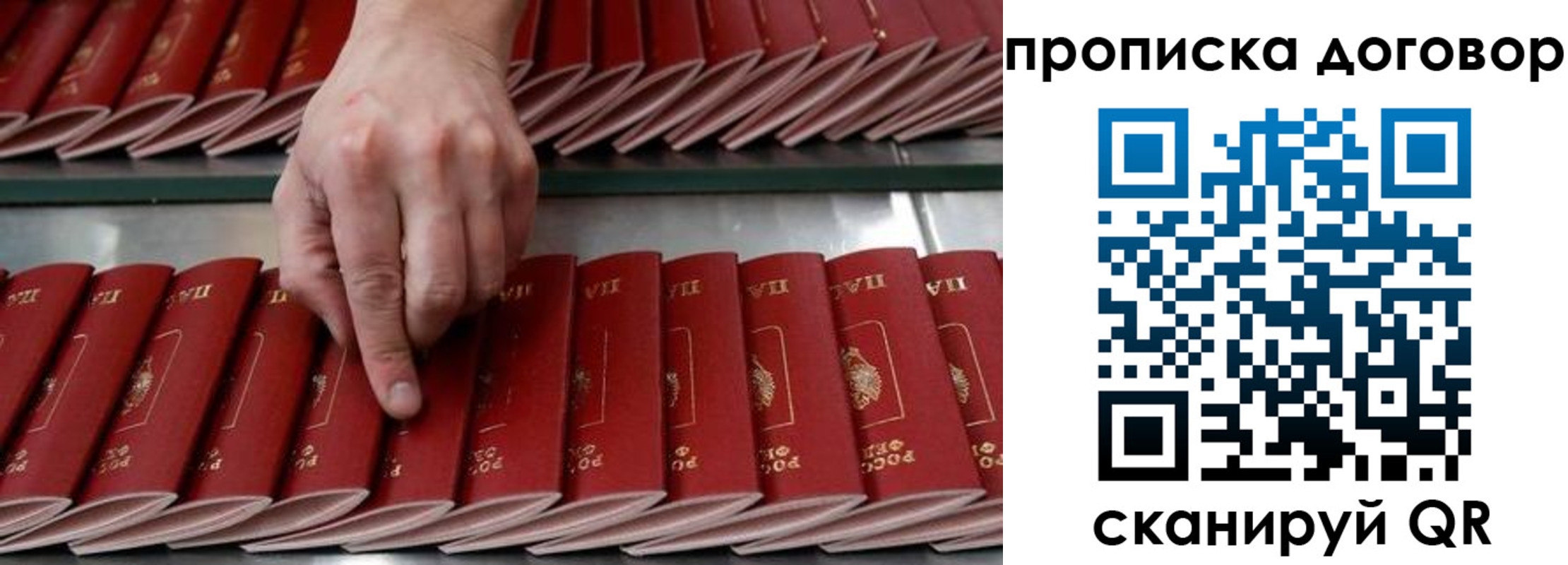 прописка от собственника в Ставрополе